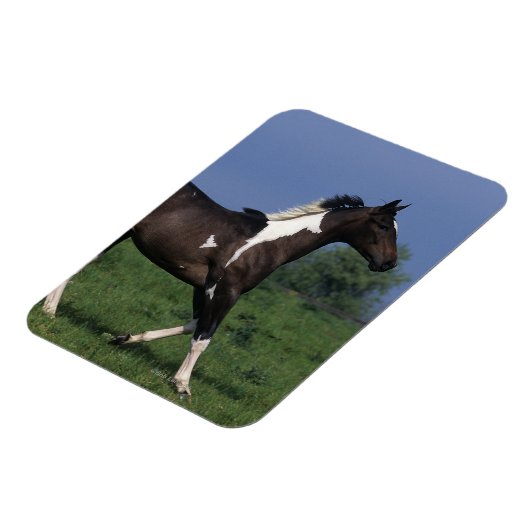 Magnet Flexible Cheval de peinture 2 (Côté Gauche)