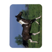 Magnet Flexible Cheval de peinture 2 (Vertical)