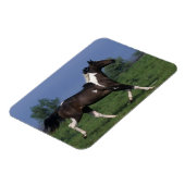 Magnet Flexible Cheval de peinture 2 (Côté Gauche)