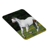 Magnet Flexible Cheval de peinture courant dans le champ de gravit (Côté Droit)