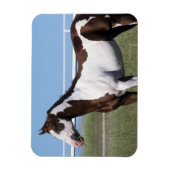 Magnet Flexible Cheval de peinture debout (Vertical)