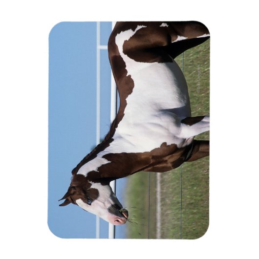 Magnet Flexible Cheval de peinture debout (Vertical)