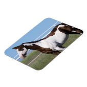 Magnet Flexible Cheval de peinture debout (Côté Gauche)