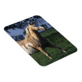 Magnet Flexible Cheval de peinture debout 2 (Côté Droit)