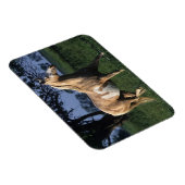 Magnet Flexible Cheval de peinture debout 2 (Côté Droit)