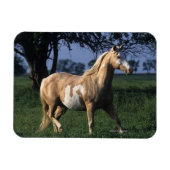 Magnet Flexible Cheval de peinture debout 2 (Horizontal)
