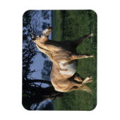 Magnet Flexible Cheval de peinture debout 2 (Vertical)