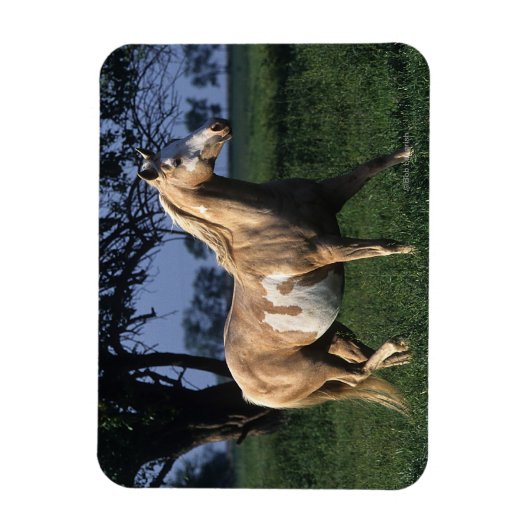 Magnet Flexible Cheval de peinture debout 2 (Vertical)