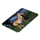 Magnet Flexible Cheval de peinture debout 2 (Côté Gauche)