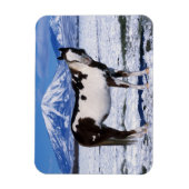 Magnet Flexible Cheval de peinture debout dans la neige (Vertical)