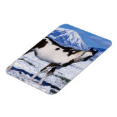 Magnet Flexible Cheval de peinture debout dans la neige (Côté Gauche)