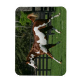 Magnet Flexible Cheval de peinture en marche 1 (Vertical)