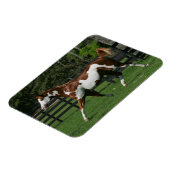 Magnet Flexible Cheval de peinture en marche 1 (Côté Gauche)