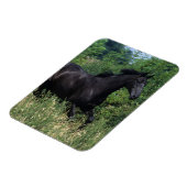 Magnet Flexible Cheval de race Thoroughbred coule dans l'herbe (Côté Gauche)