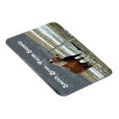 Magnet Flexible Cheval de Trait Belge dans l'Enclos Aimant Flexibl (Côté Droit)