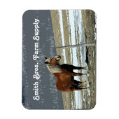 Magnet Flexible Cheval de Trait Belge dans l'Enclos Aimant Flexibl (Vertical)