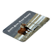 Magnet Flexible Cheval de Trait Belge dans l'Enclos Aimant Flexibl (Côté Gauche)