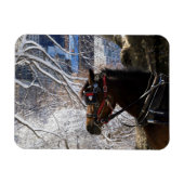 Magnet Flexible Cheval de transport d'hiver (Horizontal)