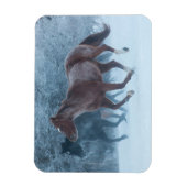 Magnet Flexible Cheval Drive (Vertical)