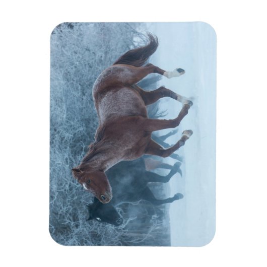 Magnet Flexible Cheval Drive (Vertical)