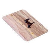 Magnet Flexible Cheval du désert P8664 (Côté Droit)