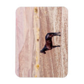 Magnet Flexible Cheval du désert P8664 (Vertical)