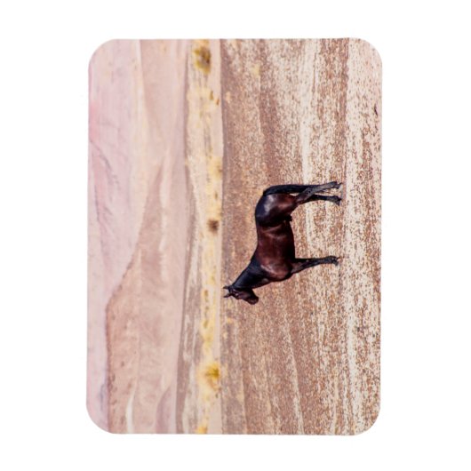 Magnet Flexible Cheval du désert P8664 (Vertical)