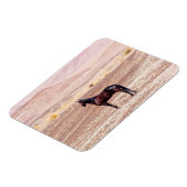 Magnet Flexible Cheval du désert P8664 (Côté Gauche)