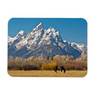 Magnet Flexible Cheval et Grand Tetons, Moose Head Ranch