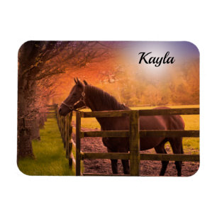 Magnet Flexible Cheval fille