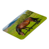 Magnet Flexible Cheval islandais de Mossfellsbaer (Côté Gauche)