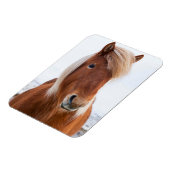 Magnet Flexible Cheval islandais en hiver (Côté Gauche)