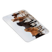 Magnet Flexible Cheval islandais en hiver en Islande (Côté Droit)
