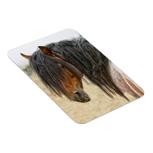 Magnet Flexible Cheval Mane (Côté Droit)