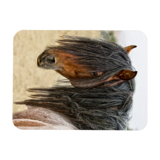 Magnet Flexible Cheval Mane (Horizontal)