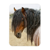 Magnet Flexible Cheval Mane (Vertical)