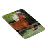 Magnet Flexible Cheval miniature debout (Côté Droit)