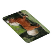 Magnet Flexible Cheval miniature debout (Côté Droit)