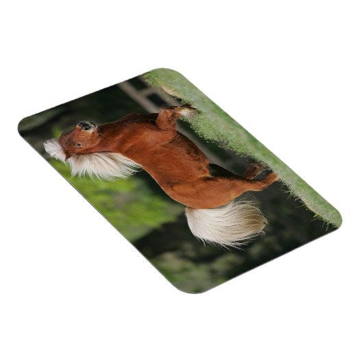 Magnet Flexible Cheval miniature debout (Côté Droit)
