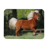 Magnet Flexible Cheval miniature debout (Horizontal)