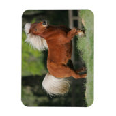 Magnet Flexible Cheval miniature debout (Vertical)