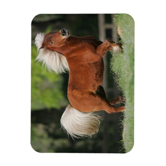 Magnet Flexible Cheval miniature debout (Vertical)