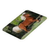 Magnet Flexible Cheval miniature debout (Côté Gauche)