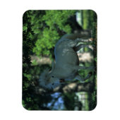 Magnet Flexible Cheval miniature debout dans les arbres (Vertical)