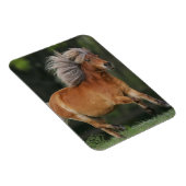Magnet Flexible Cheval Miniature En Course (Côté Droit)