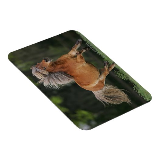 Magnet Flexible Cheval Miniature En Course (Côté Droit)