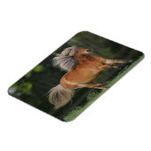 Magnet Flexible Cheval Miniature En Course (Côté Gauche)