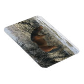 Magnet Flexible Cheval Mustang sauvage dans la neige 1 (Côté Droit)