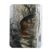 Magnet Flexible Cheval Mustang sauvage dans la neige 1 (Vertical)
