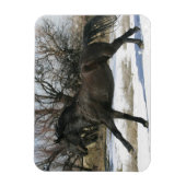 Magnet Flexible Cheval Mustang sauvage dans la neige 2 (Vertical)